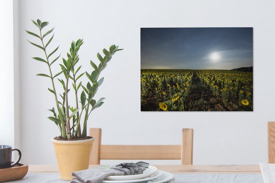 Champ de fleurs avec tournesols dans la nuit 40x30 cm - petit - Tirage photo sur toile (Décoration murale salon / chambre) / Peintures sur toile Fleurs