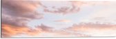 WallClassics - Dibond - Pastelkleuren in de Lucht - 90x30 cm Foto op Aluminium (Wanddecoratie van metaal)