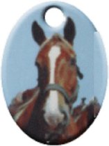 Metalen sleutelhanger - paard label - met gouden sleutelring