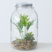 Plant in glazen pot Eline LED - Versie 1