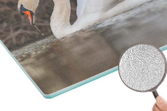 Planche à Découper En Verre Coloray Motif Mer, Ciel, Nuages, Animaux, Oiseaux, Cygnes - 2x30x52 Cm