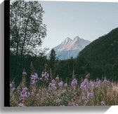 WallClassics - Canvas  - Roze Bloesemtakken in Berggebied - 40x40 cm Foto op Canvas Schilderij (Wanddecoratie op Canvas)