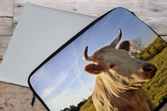 Housse ordinateur portable 17 pouces 41x32 cm - Vaches - Housse Macbook & Laptop Cow in nature - Housse ordinateur portable avec photo