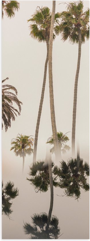 WallClassics - Poster (Mat) - Smalle Palmbomen met Weerspiegeling - 50x150 cm Foto op Posterpapier met een Matte look