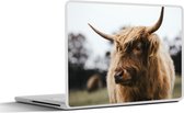 Laptop sticker - 14 inch - Schotse Hooglander - Dieren - Horens - 32x5x23x5cm - Laptopstickers - Laptop skin - Cover