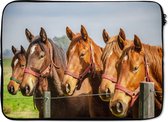 Laptophoes 14 inch - Paarden - Hek - Zomer - Laptop sleeve - Binnenmaat 34x23,5 cm - Zwarte achterkant