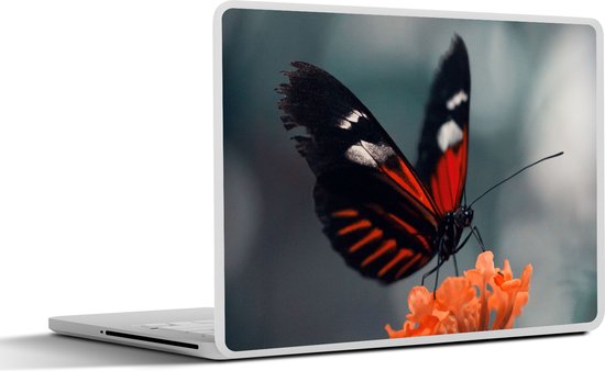 Autocollant pour ordinateur portable - 13,3 pouces - Papillon - Fleurs -  Insecte -... | bol.com