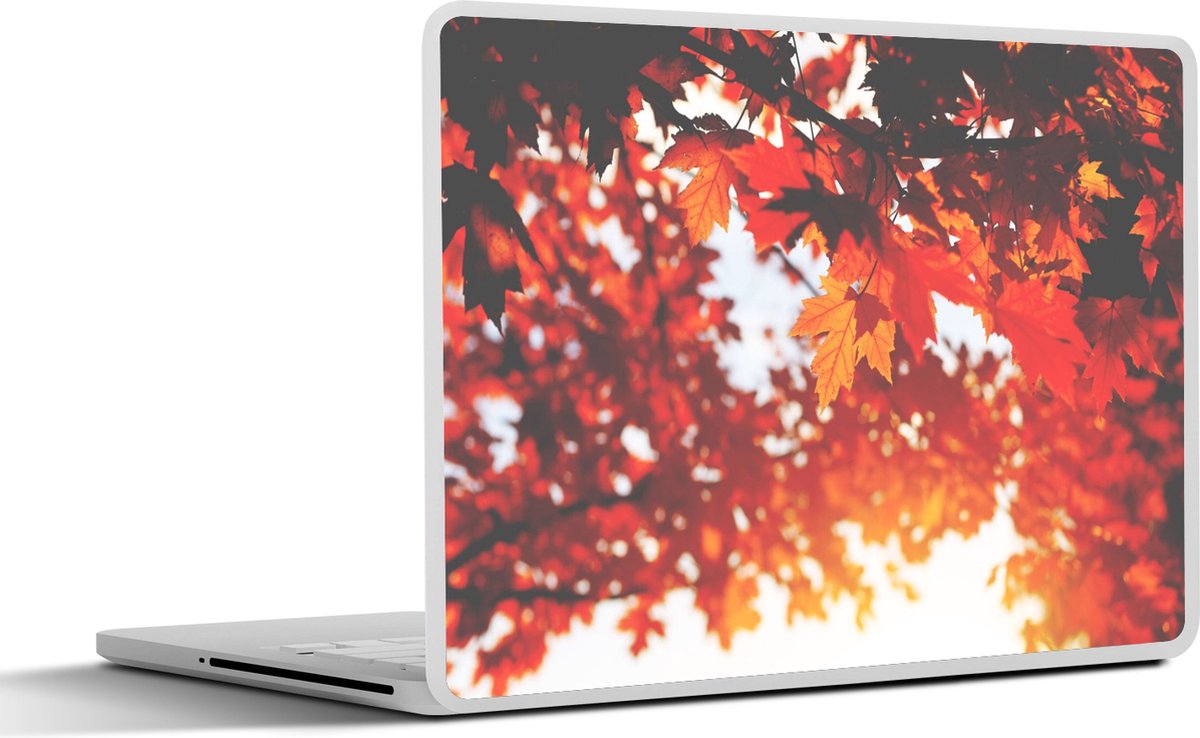Laptop sticker - 12.3 inch - Herfstbladeren - Landelijke decoratie - Zon - 30x22cm - Laptopstickers - Laptop skin - Cover