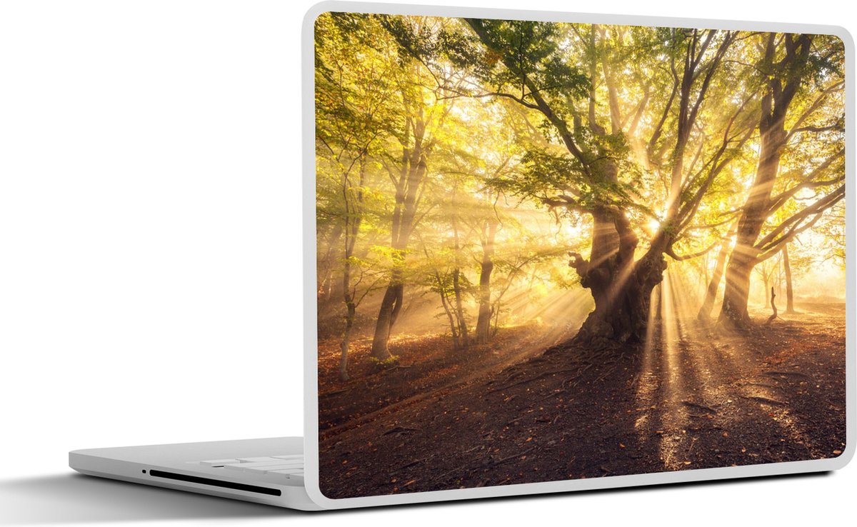 Laptop sticker - 11.6 inch - Boom - Bos - Zon - 30x21cm - Laptopstickers - Laptop skin - Cover