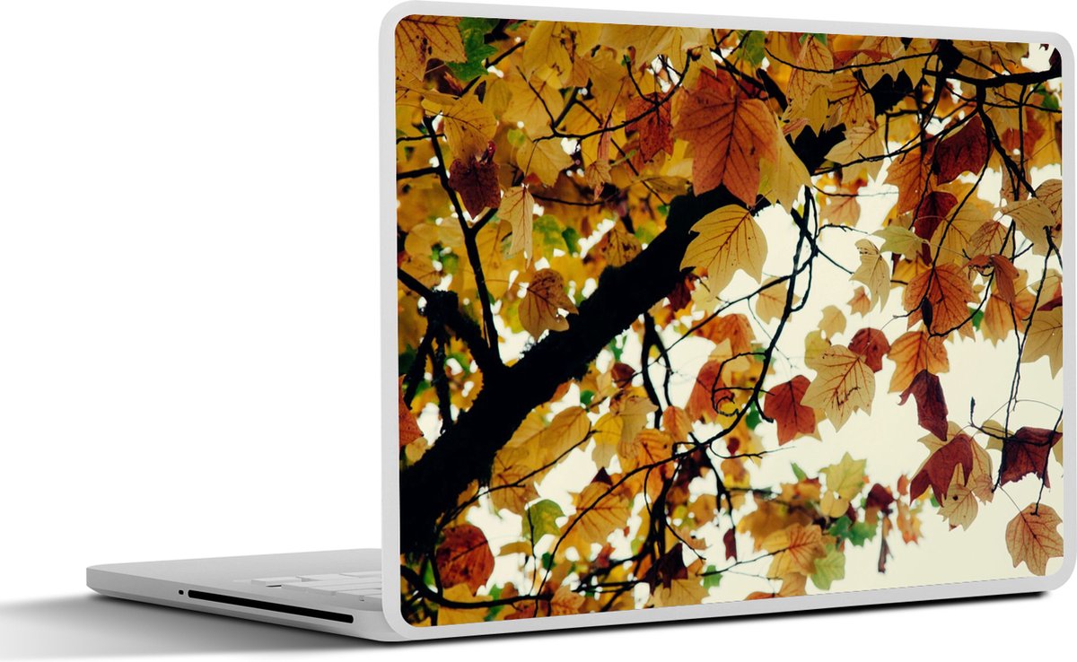 Laptop sticker - 10.1 inch - Bomen - Herfstbladeren - Natuur - 25x18cm - Laptopstickers - Laptop skin - Cover
