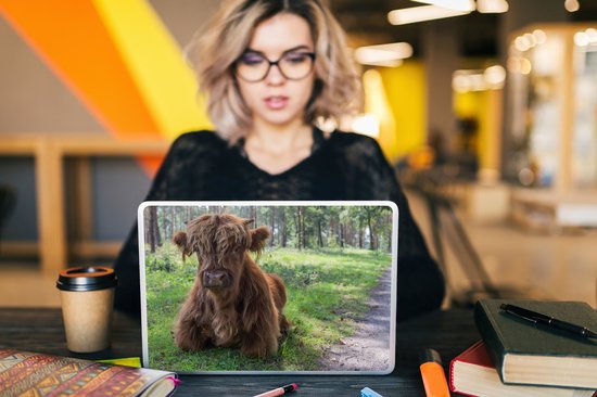 Sticker ordinateur portable - 10,1 pouces - Scottish Highlander - Crapaud - Animaux