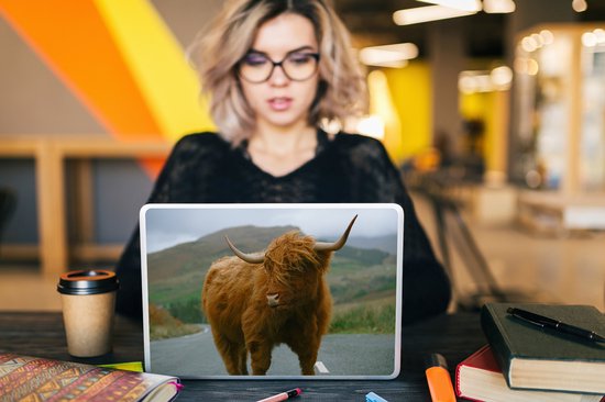 Autocollant pour ordinateur portable - 10,1 pouces - Highlander écossais - Berg - Route - 25x18cm - Autocollants pour ordinateur portable - Skin pour ordinateur portable - Housse