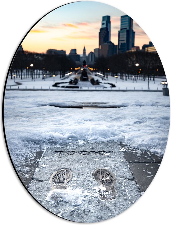 WallClassics - Dibond Ovaal - Bevroren Sneeuw in Stad - 30x40 cm Foto op Ovaal (Met Ophangsysteem)