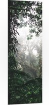 WallClassics - PVC Schuimplaat - Begroeiing in Regenwoud - 50x150 cm Foto op PVC Schuimplaat (Met Ophangsysteem)