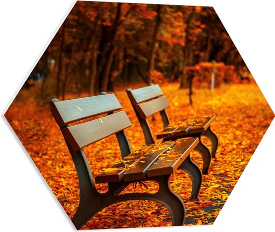 WallClassics - PVC Schuimplaat Hexagon  - Bankjes tijdens Herfst in het Park - 60x52.2 cm Foto op Hexagon (Met Ophangsysteem)