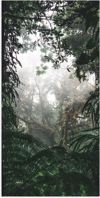 WallClassics - Affiche Brillante - Végétation de la Forêt Tropicale - 50x100 cm Photo sur Papier Affiche avec Finition Brillante