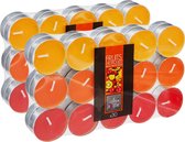 Geurkaars waxine/theelichtjes - 60x - Tropisch fruit - 3,5 branduren