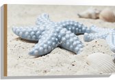 WallClassics - Hout - Blauwe Zeesterren op het Strand - 60x40 cm - 12 mm dik - Foto op Hout (Met Ophangsysteem)