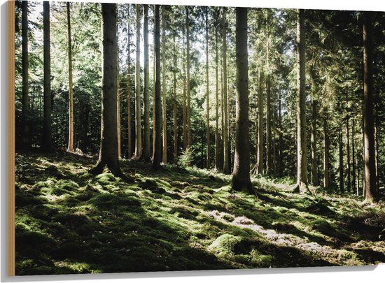 WallClassics - Hout - Bomen op Helling van Berg - 100x75 cm - 12 mm dik - Foto op Hout (Met Ophangsysteem)