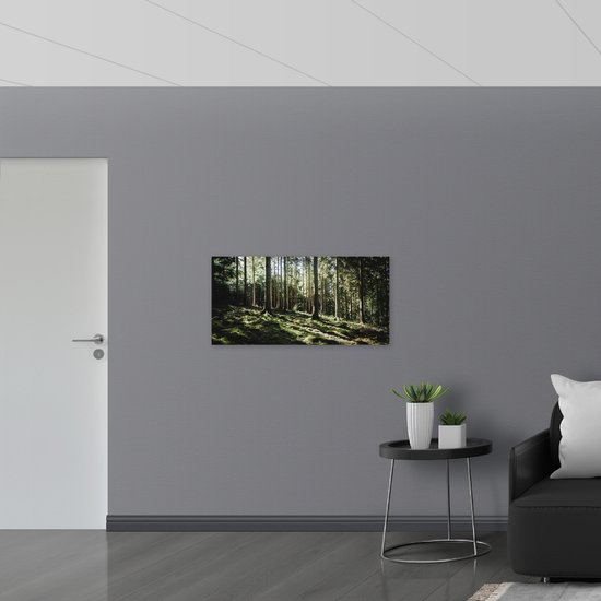 WallClassics - Panneau en mousse PVC - Arbres sur le versant d' une Berg - Photo 100x50 cm sur panneau en mousse PVC (avec système d'accrochage)