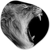 Décoration murale bio - Décoration murale en plastique - Tableau bio - Animaux - Lion - Zwart - Wit - Portrait - 90x90 cm - Forme miroir bio sur plastique