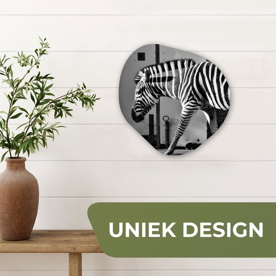 Décoration murale Organique - Décoration Décoration murale Plastique - Peinture Organique - Zebra - Mur - Porte - Animaux - Zwart et blanc - 40x40 cm - Forme miroir asymétrique sur plastique