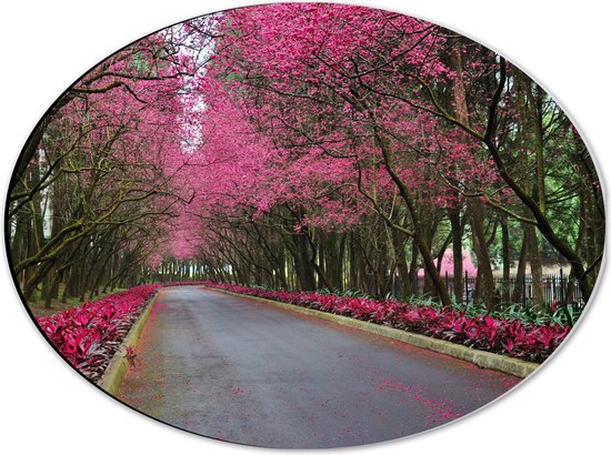 WallClassics - Dibond Ovaal - Roze Bomen over de Weg - 40x30 cm Foto op Ovaal (Met Ophangsysteem)