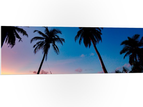 WallClassics - PVC Schuimplaat - Silhouet van Persoon op Schommel met Palmbomen - 120x40 cm Foto op PVC Schuimplaat (Met Ophangsysteem)