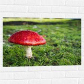 WallClassics - Muursticker - Rood met Witte Paddenstoel - 75x50 cm Foto op Muursticker