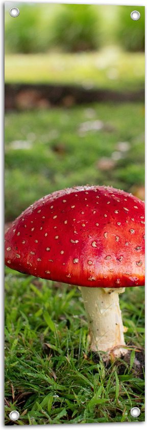 WallClassics - Tuinposter – Rode Paddenstoel met Witte Stippen - 30x90 cm Foto op Tuinposter  (wanddecoratie voor buiten en binnen)