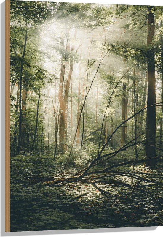 WallClassics - Hout - Hemelachtig Bos - 60x90 cm - 12 mm dik - Foto op Hout (Met Ophangsysteem)