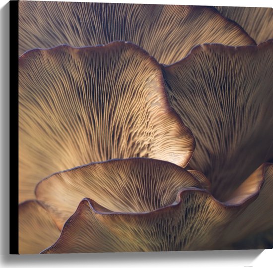 WallClassics - Canvas  - Mushrooms - 60x60 cm Foto op Canvas Schilderij (Wanddecoratie op Canvas)