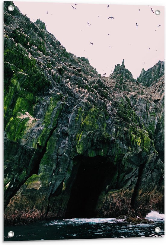 WallClassics - Poster de jardin - Vogeks Boven Clif - 60x80 cm Photo sur poster de jardin (décoration murale pour extérieur et intérieur)