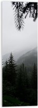 WallClassics - Acrylglas - Mist in de Bergen - 30x90 cm Foto op Acrylglas (Wanddecoratie op Acrylaat)