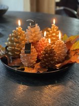 Brynxz - candle pinecone - dennenappel kaars - L - nature - 11 x 16