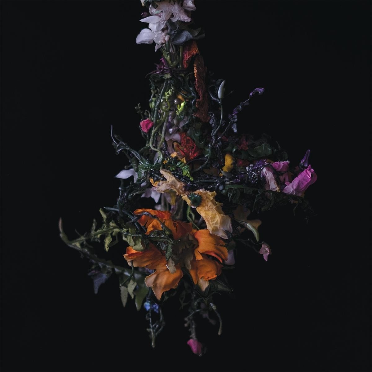 Big|Brave - Nature Morte (LP)