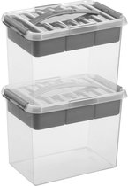 2x Sunware Q-Line opberg boxen/opbergdozen met vakverdeling/vakken tray 9 liter 30 x 20 x 22 cm kunststof - Gereedschapskist - Opslagbox - Opbergbak kunststof transparant/zilver