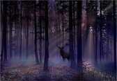 Fotobehangkoning - Behang - Vliesbehang - Fotobehang - Mystiek Bos - Mystical Forest - Second Variant - 150 x 105 cm