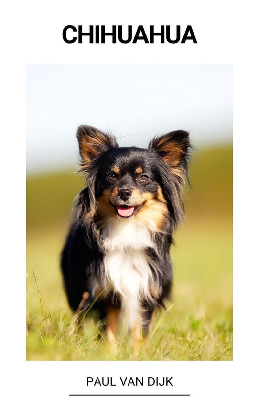 Chihuahua - cover