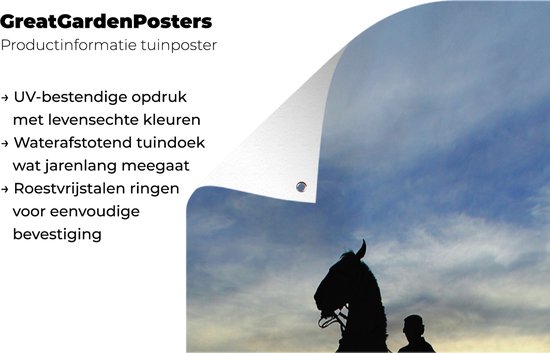 Conseils Et Idées Pour Une Décoration Murale Moderne Et Chic Dans Votre Salon 2