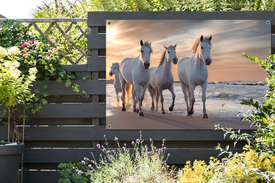 Affiche de jardin Paarden - Soleil - Plage - Mer - 120x80 cm - Jardin