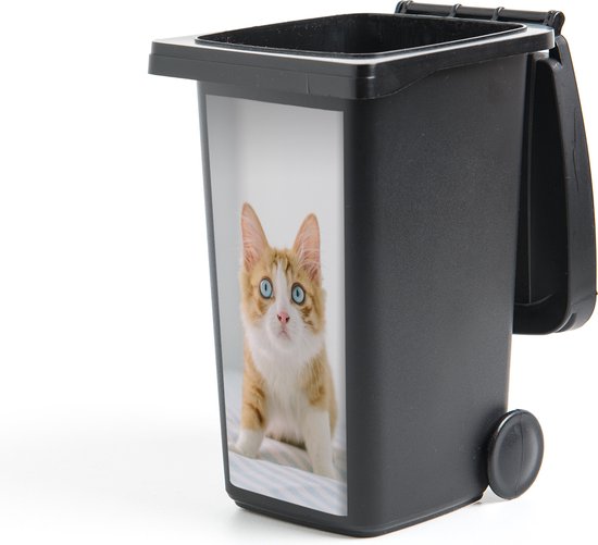 Container sticker Kitten - Blauw - Oranje - Meisjes - Kinderen - Jongens - Kind - 44x98 cm - Kliko sticker