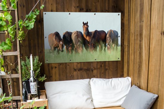 Affiche jardin - Toile jardin - Posters de jardin extérieur - Paarden - Animaux - Herbe - Été - 120x80 cm - Jardin