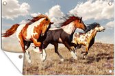 Muurdecoratie Paarden - Dieren - Gras - Vacht - 180x120 cm - Tuinposter - Tuindoek - Buitenposter