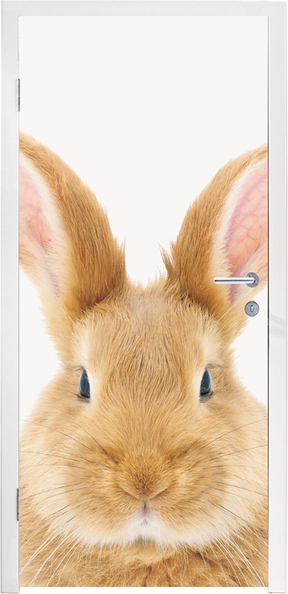 Sticker de porte Enfants - Lapin - Enfant - Filles - Garçons - 95x235 cm - Affiche de porte