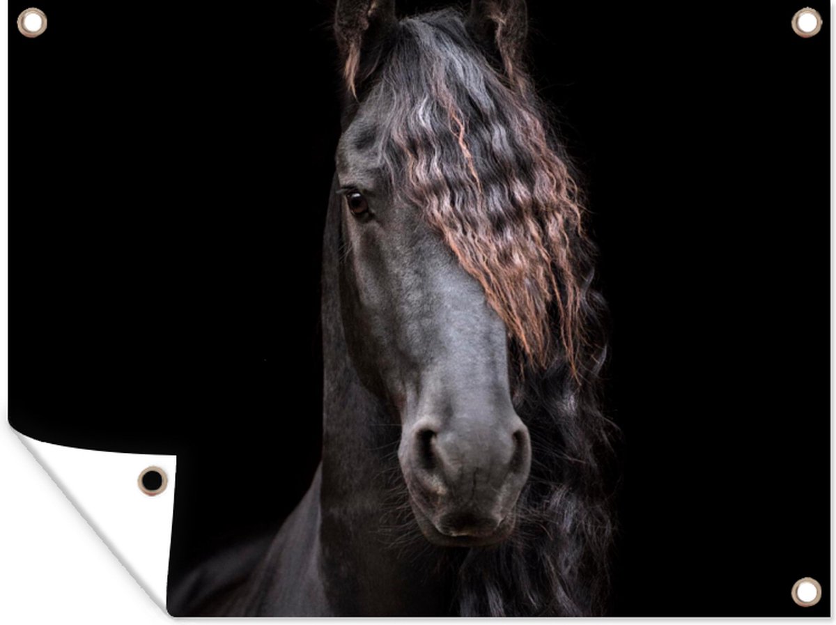 Une Tête De Lion Avec Une Crinière Et Une Crinière. | Vecteur Premium