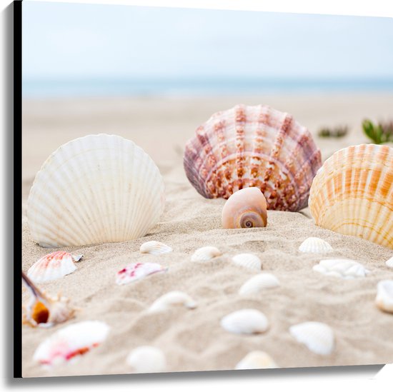 WallClassics - Toile - Coquillages dans le Sable sur la plage - 100x100 cm Tableau sur toile (Décoration murale sur toile)