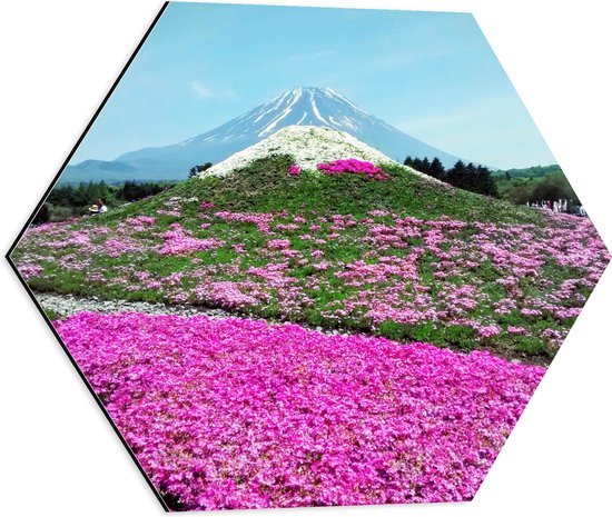 WallClassics - Dibond Hexagon - Roze Bloemenveld met Berg in Achtergrond - 50x43.5 cm Foto op Hexagon (Met Ophangsysteem)