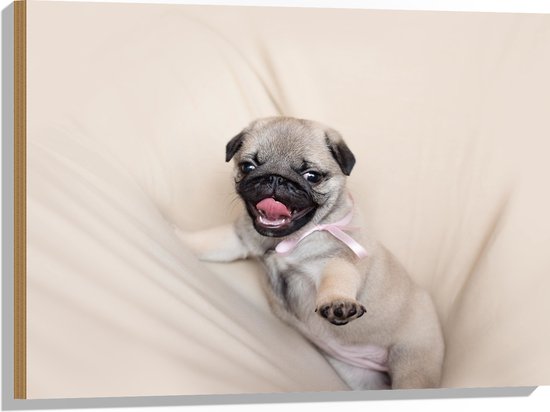 WallClassics - Hout - Mopshond Puppy op een Beige Kleed - 80x60 cm - 12 mm dik - Foto op Hout (Met Ophangsysteem)