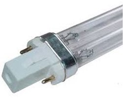Philips PL lamp UV-C 5Watt (let op: lamp kan niet retour genomen worden!)